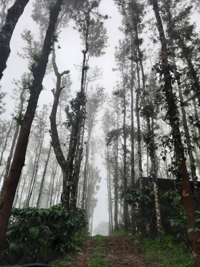 Coorg Happy Estate Stay Madikeri Exterior photo